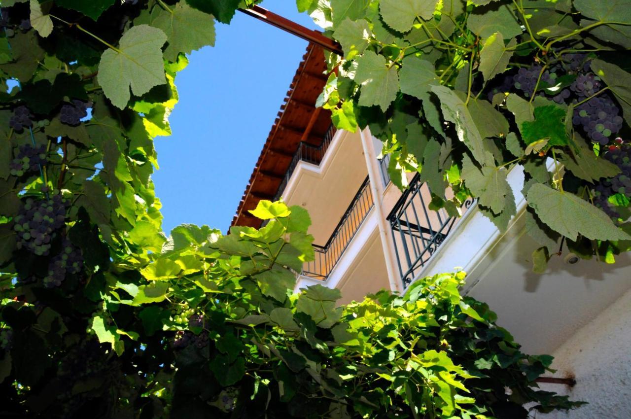 Boutique Hotel Parnassia أراخوفا المظهر الخارجي الصورة